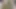 Üvey kız kardeş üvey erkek kardeşinin yarağını emdi, sonra amcığını yaladı, sonra eğlendi.