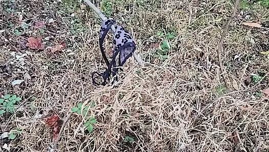 Parkta bulunan tanga üzerine boşalma