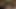 şehvetli üçlü ile daisy marie ve jenaveve jolie