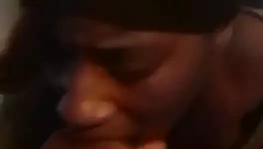 Hood veteriner ıslak kafa