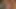 Porno yıldızı bebek şehirde en iyi oral seks kafasını verir