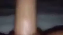 Vikilimena patrinia xiotissa