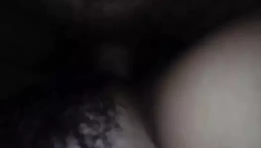 Büyük çük kahrolası kıllı kedi