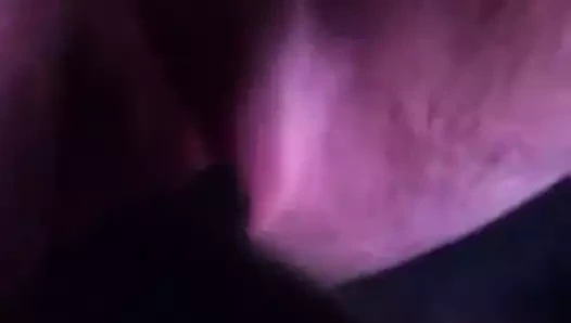 Yapay penis yukarı kedi büyük ıslak