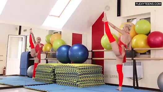 Dora tornaszkova çıplak böler ve köprüler