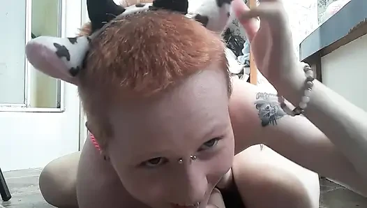 Çilek ipli inek fışkırtıyor