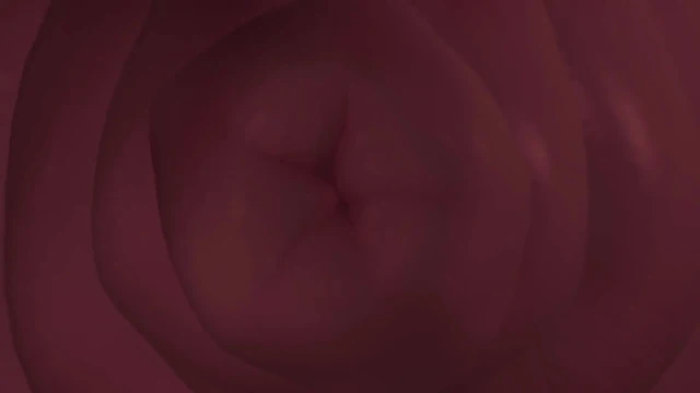 Evinizdeyim (futa transeksüel)
