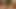 Üçlü seksi siyah porno yıldızları