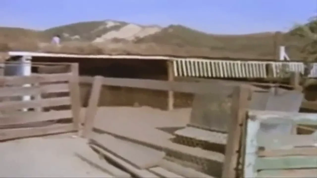COUNTRY CUZZINS 1970 (HD)