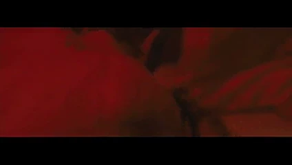 Amerikan Violante placido - 2