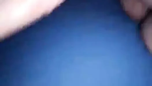 İki horoz, bir kedi