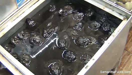 sarışın süperstar samantha aziz ile perde arkası