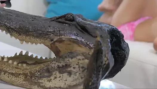 Blake eden solo oynadığı en iyi arkadaşlar