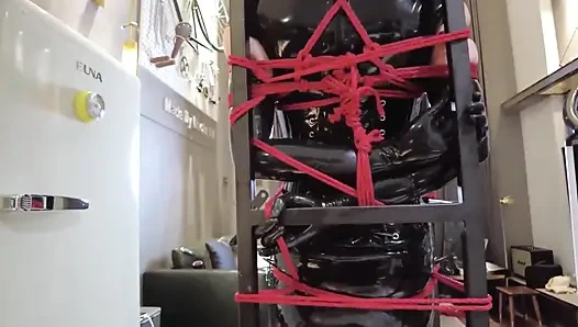 Mz32 - metal bir cihaz içinde bağlı, titreşen bir doruk noktası.