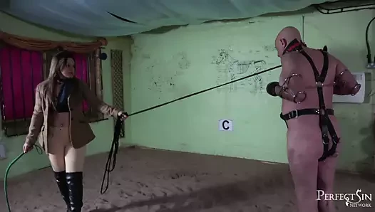 Mükemmel bir midilli için eğitim - metresi athena ile terbiye