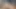 VIP4K. Vahşi yolculuk. Antonia Sainz ile ikinci bölüm