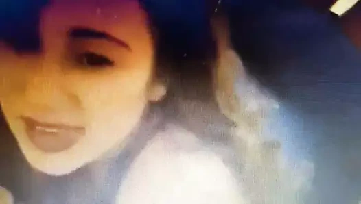 Rasse Stute zubesuch