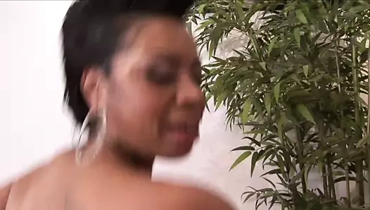 Reigna Spice büyük memeli zenci teni zenci yarağıyla sikiliyor