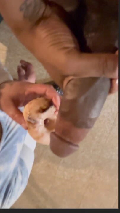 Donutumu sırılsıklam