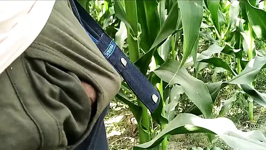 Kıllı eşcinsel porno videoları elle muamele ve bitkilere boşalma