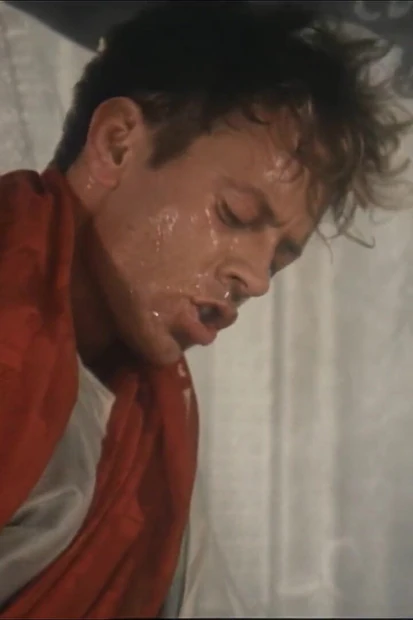 Винтажное зияние, поедание киски и анальный трах на вершине гигантских хуев