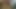 Evde kovboy kız seks orgazmı. Gerçek çoklu orgazm. Seksi orta yaşlı seksi kadın arka arkaya birçok kez boşalıyor. (324)