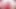 Lola Foxx sıkı amına mastürbasyon yapmayı seviyor
