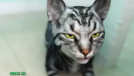 Ücretsiz iradeye hoş geldiniz - #42 - redlady2k tarafından arabada sakso