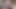 Busty wife jerked off my cock before bed