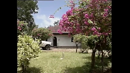 Afrika bağlantısı