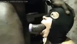 Rose de Mada 972 est passe sucer