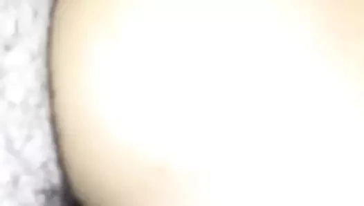 benim küçük taylandlı kızımın köpek stili