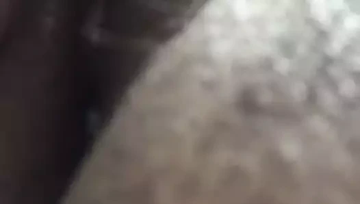 Sıcak ıslak ekvador kedi