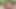 Ateşli oral seks kokteyli: en iyi porno yıldızlarıyla eğlenceli derleme!