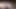 Capri cavanni ve dani daniels hisse horoz