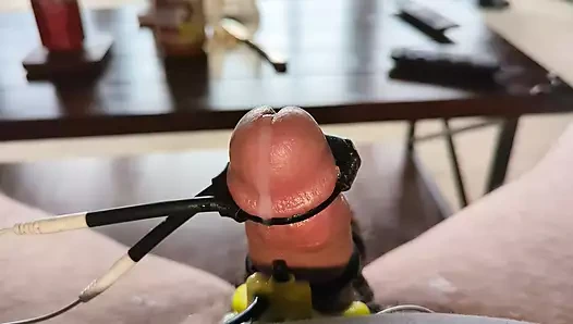 Büyüyen horoz twinks - tahmin