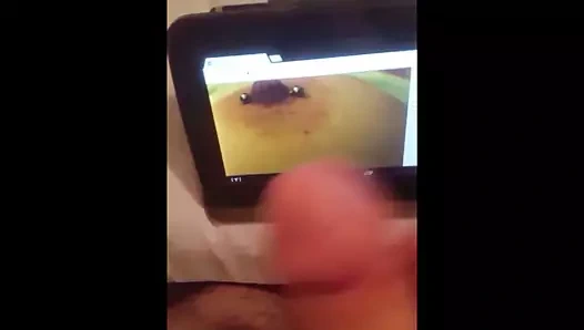 haraç