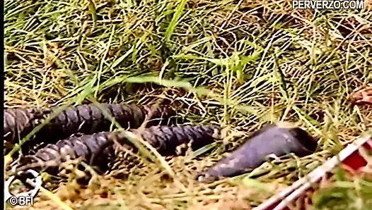 Açık havada klasik BDSM grup sahnesi