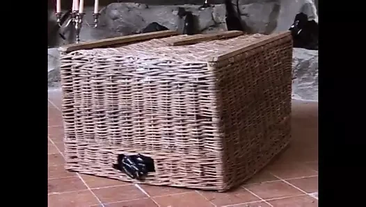 Avrupa'dan tuhaf - eski fetiş x - vol. #14