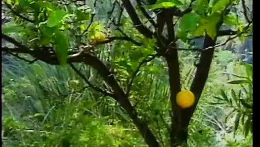 Güneşlenme abanoz sikişme şansını kaçırmak istemiyor