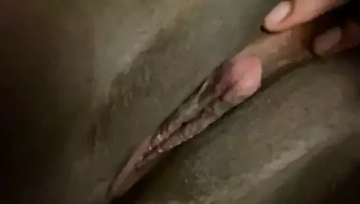 oyuncak eğlence zamanı