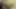 Bekarlığa yemini Layla Rivera genç amını ıslatmak için büyük bir dildo alıyor