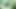 Stacxxxs sunar: Greenlight Special - Amber Lee