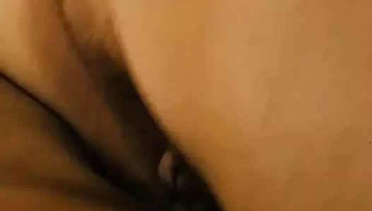 Onu kabarık kedi uzun vuruşlar vererek