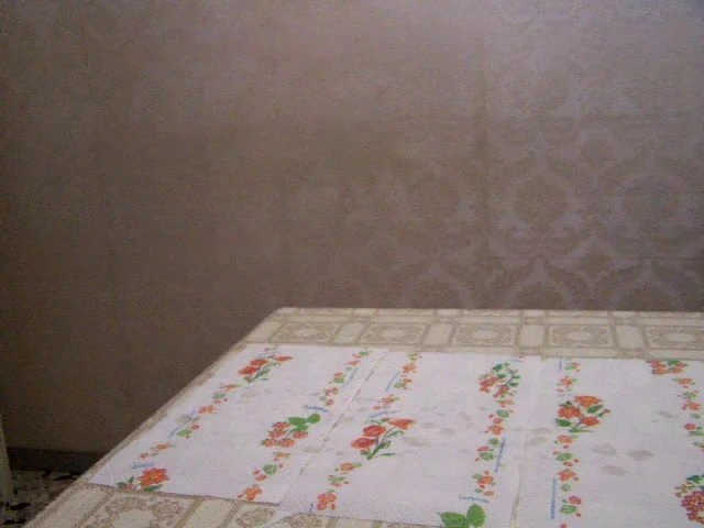 Mirko beyaz - çektiğim ilk video