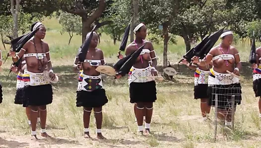 Busty Afrikalı kadınlar üstsüz dans 2
