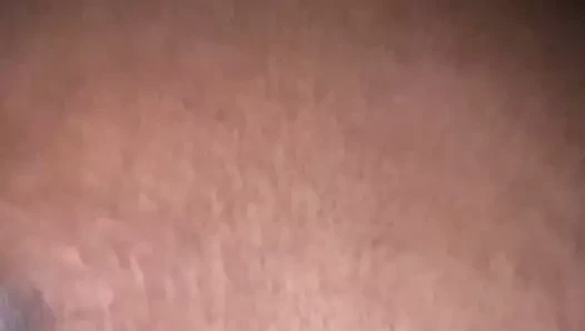 Olgun büyük ganimet country gilf köpek stil 5