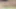 Small cock blowjob