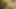 Ev yapımı pornoda gerçek amatör çift