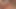 Rüya travesti - tgirls otomatik zevk derlemesi alıyor